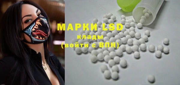 ECSTASY Абаза